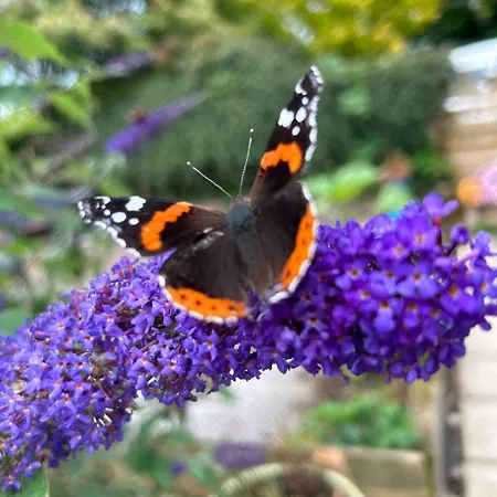 Holiday home The At Pinethwaite Kendal