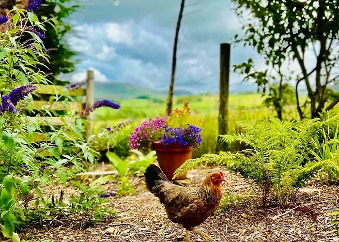 The At Pinethwaite * Kendal