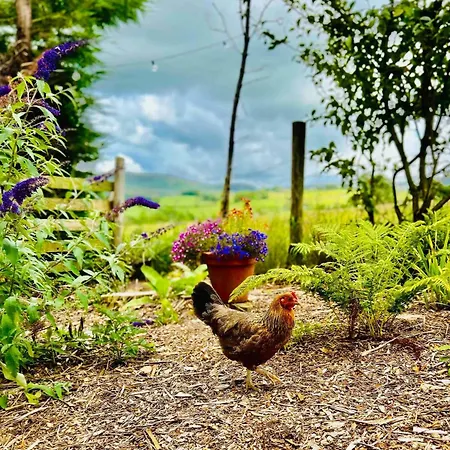 The At Pinethwaite * Kendal