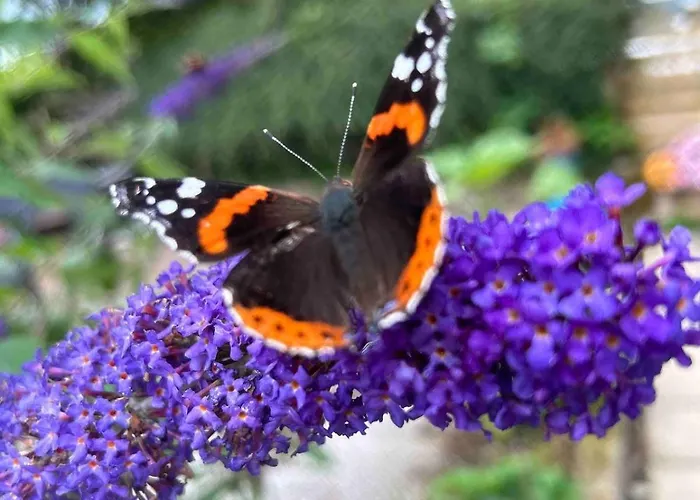 Ferienhaus The At Pinethwaite Kendal