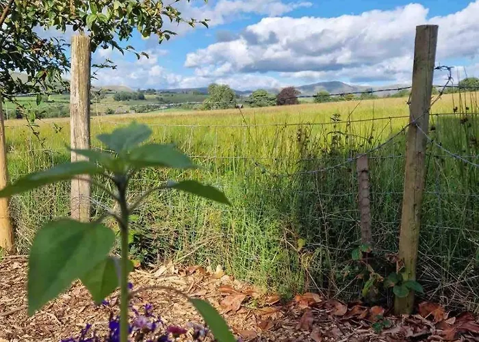 The At Pinethwaite Kendal